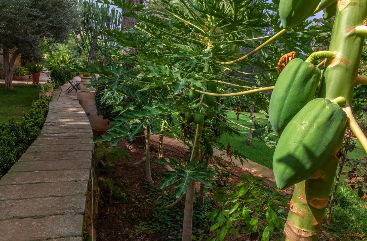 Villa Selmunett Naxxar Bagian luar foto