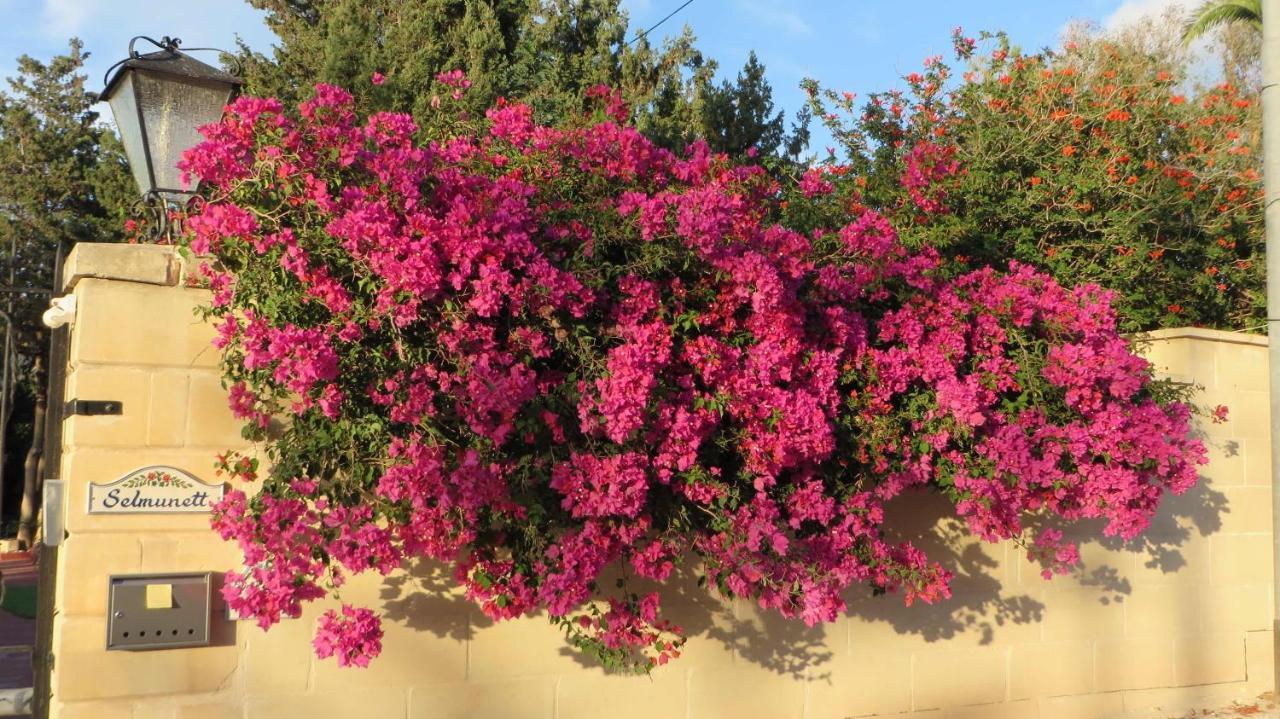 Villa Selmunett Naxxar Bagian luar foto